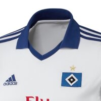 ©  HSV