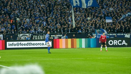 ©  FC Schalke 04