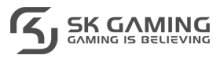 ©  SK Gaming