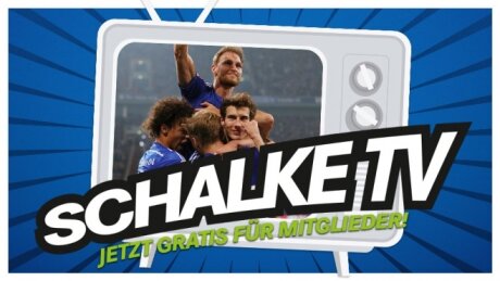 ©  Schalke 04