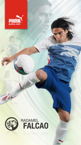 Application Falcao