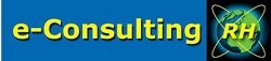 E-Consulting
