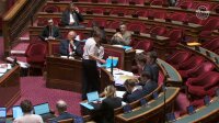 ©  Capture d'écran - Sénat