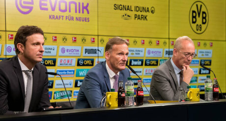 ©  BVB
