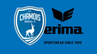 ©  Chamois Niortais FC