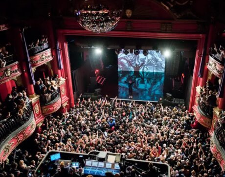 ©  Joe Trayelen/Koko