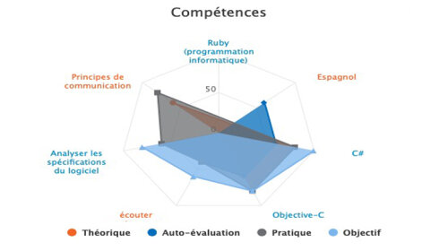 Visualiser les compétences de vos équipes avec SkillsBoard - D.R.