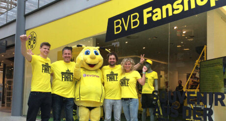 ©  BVB