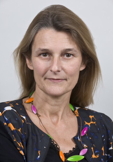 ©  Stéphane Méziache