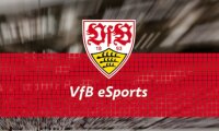 ©  vfb.de