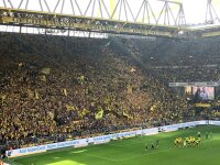 ©  BVB