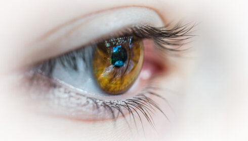 Ce que l’eye tracking apporte à la formation - D.R.