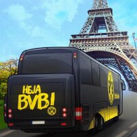 ©  BVB